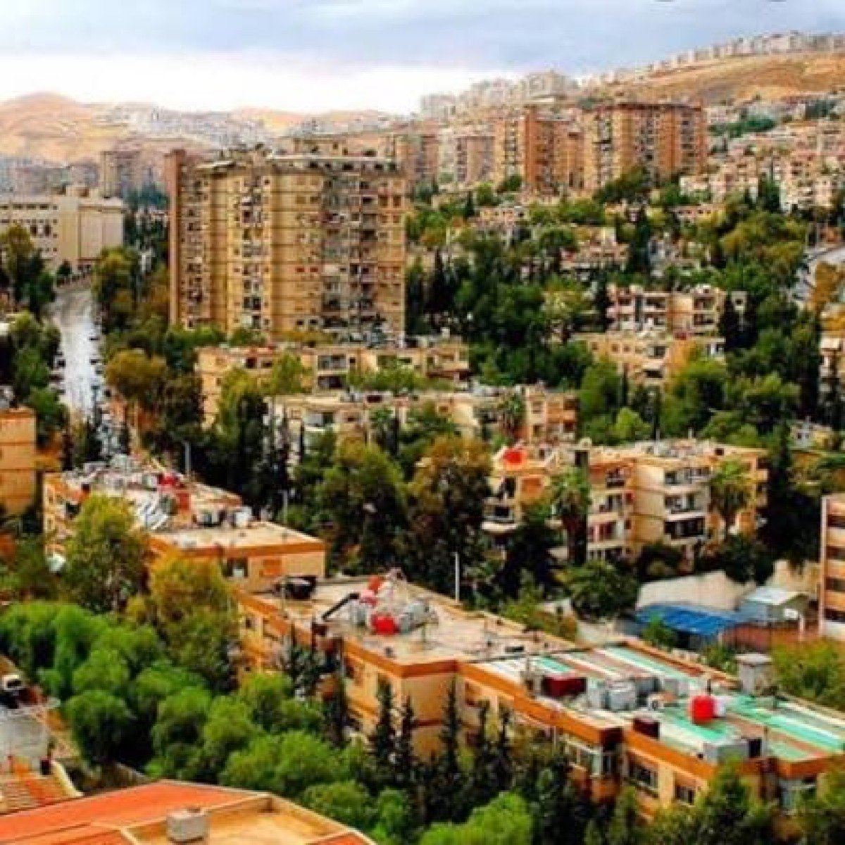 5 دونمات للمشاركة في تطوير مشروع دمر قرب الكنيسة، غرب الجزيرة 17